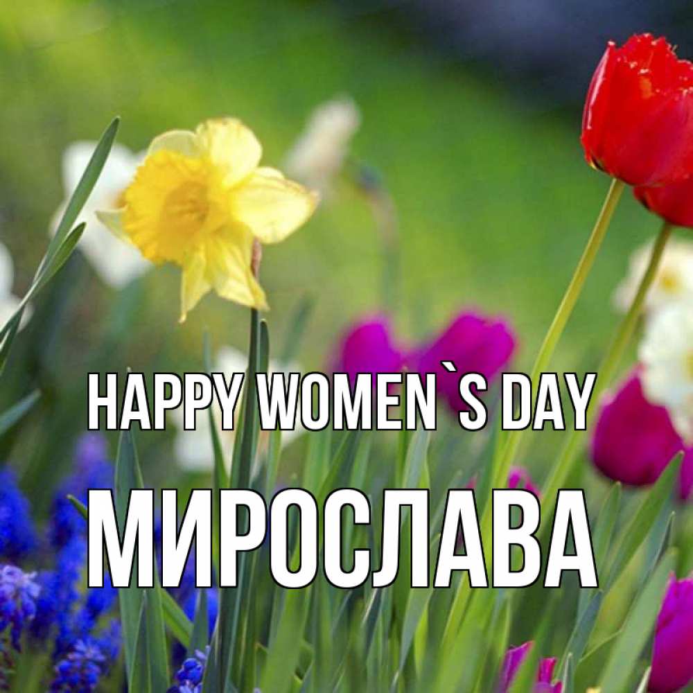 Greetings card с именем, Мирослава happy women`s day международный женский день 3 Greetings with text for free download 